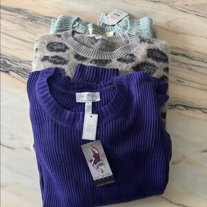 3 Sweaters for 1 price
Faded Glory NWT
Sofia Vergara NWT
Time and Tru